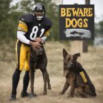 Pittsburgh Steeler player standing beside a menacing dog, with a sign reading "Beware of Dogs."